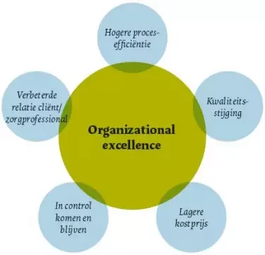 Organizational excellence